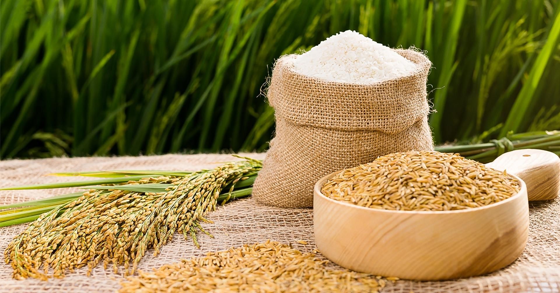 1kg Lúa Tròn Hạt Chắc