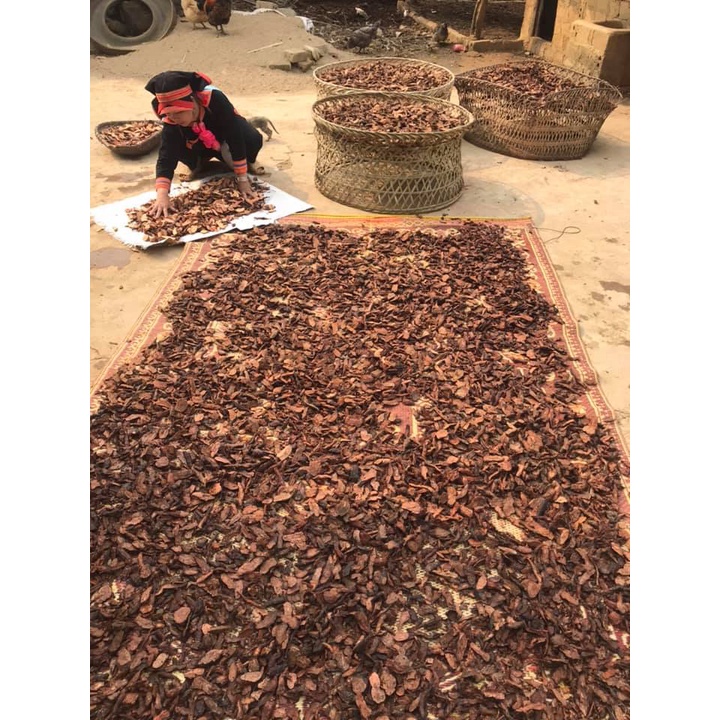 Hà Thủ Ô Đỏ Đã Sơ Chế 1Kg