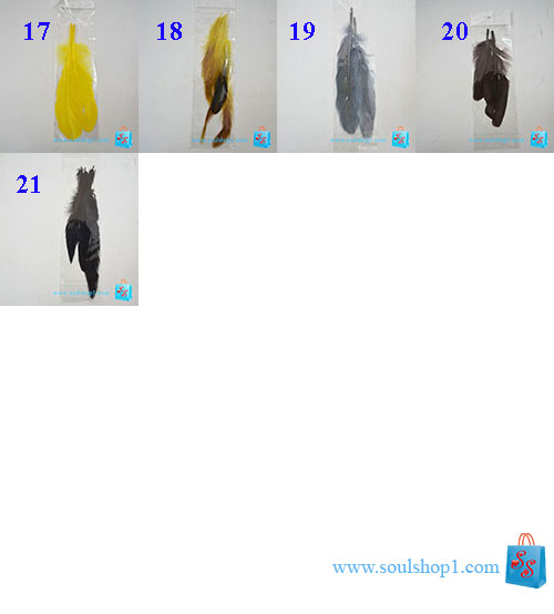 Lông vũ dài: lông cánh / lông đuôi dài khoảng 20 cm