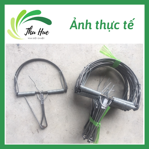 combo 5 chiếc bẫy chuột bán nguyễn cỡ vừa