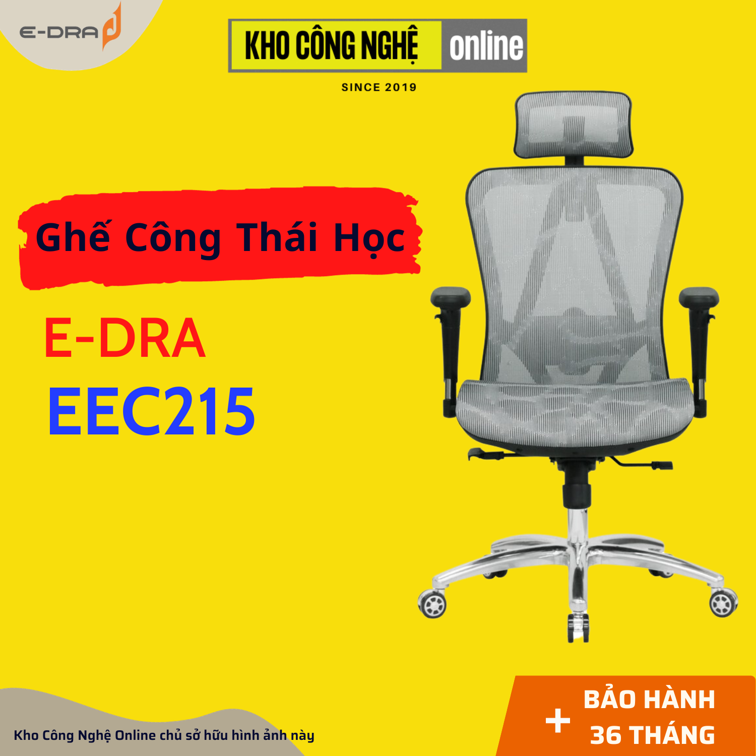 Ghế công thái học E-DRA EEC215 (Hàng Chính Hãng)