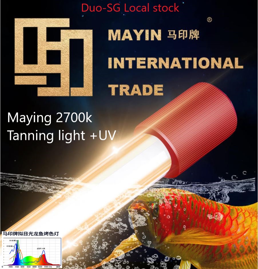 🔥Mayin authorized SG seller🔥Mayin T5 2700k Tanning light +UV