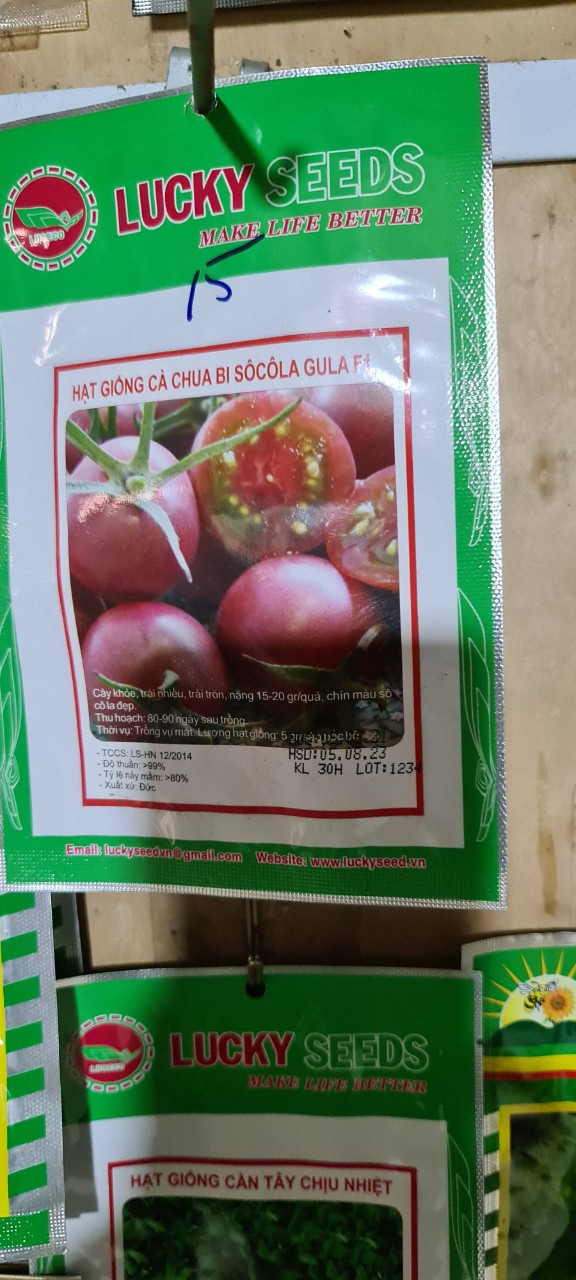 hạt giống cà chua bi socola gói 30 hạt
