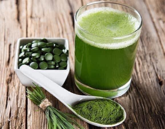 Tảo lục Chlorella Royal DX 1550v Nhật Bản