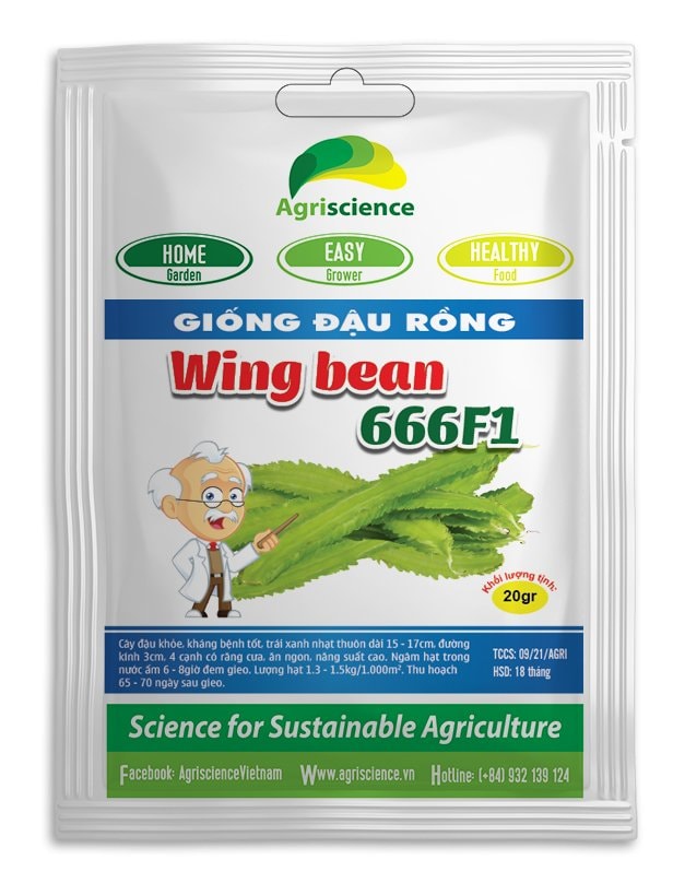 Hạt giống đậu rồng wing bean 666f1