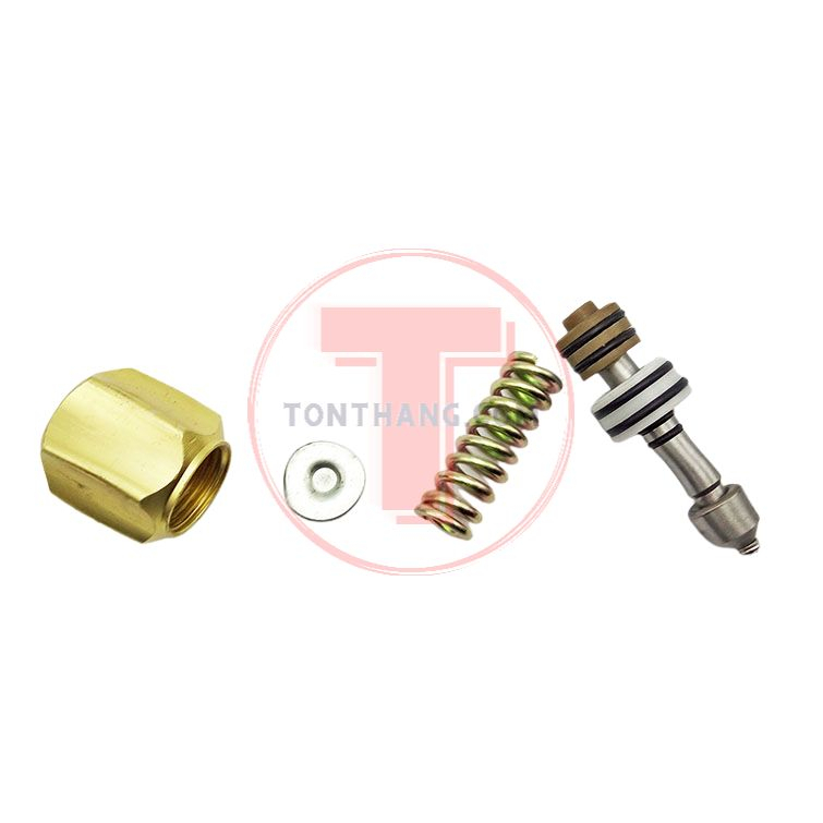 Bộ tự động đầu nén xịt thuốc rửa xe 1hp