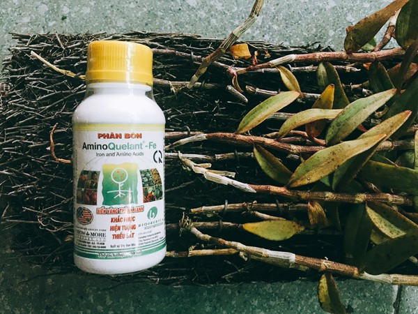 [HCM]Phân bón lá bổ sung sắt Amino Fe(Amino Quelant Fe) chai 100ml