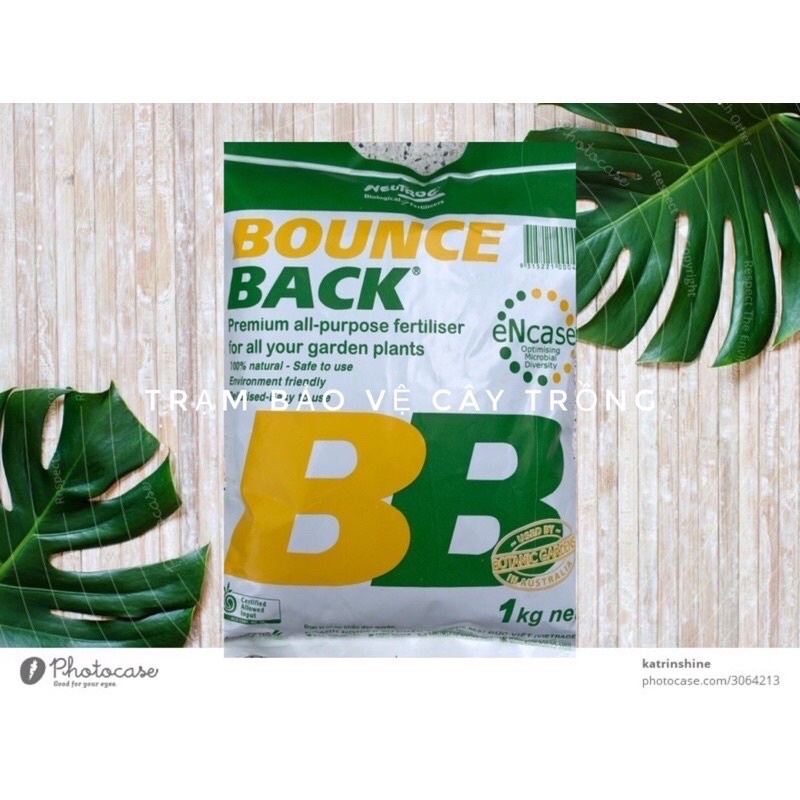 Phân Hữu Cơ Viên Nén Đậm Đặc ÚC DYNAMIC BB xanh gói 500gr