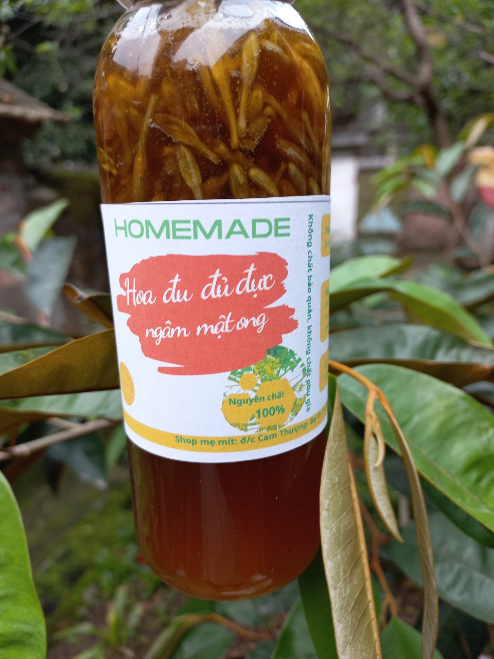 Hoa đu đủ đực ngâm mật ong