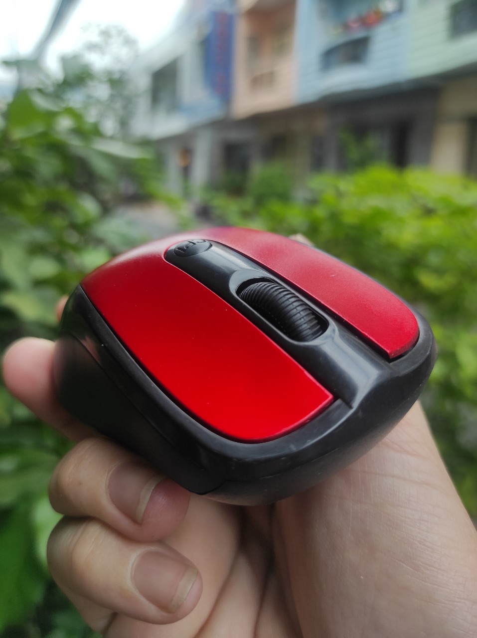 Chuột Không Dây Hp