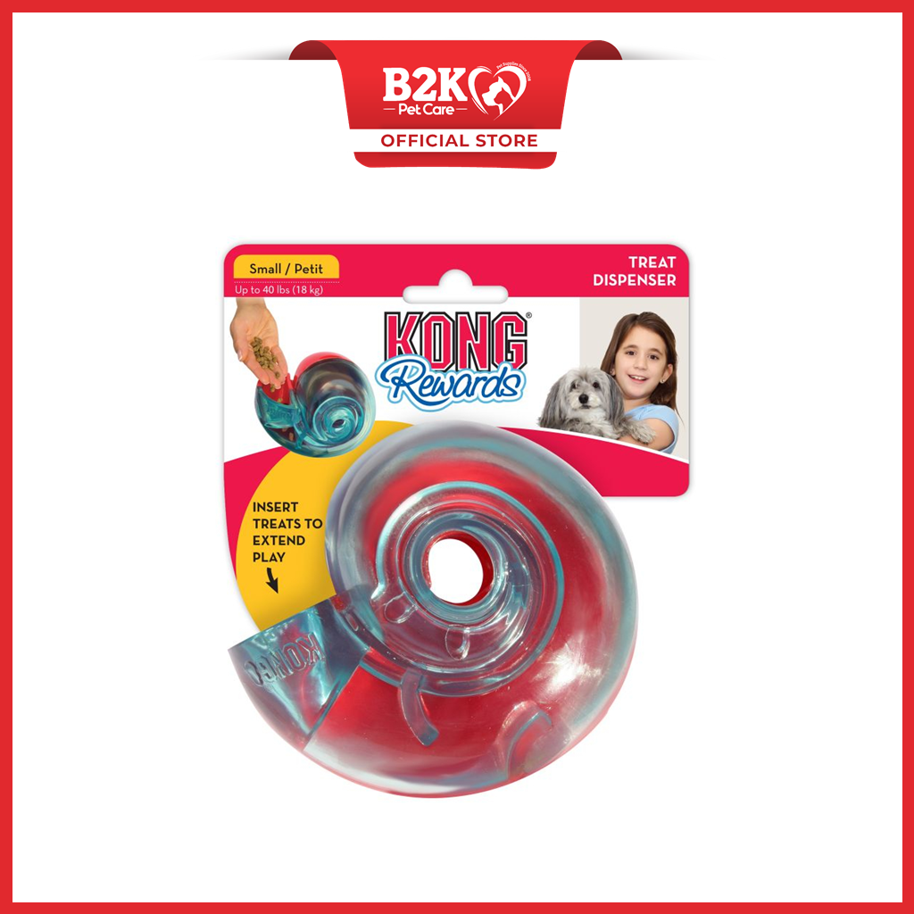 kong rewards shell large