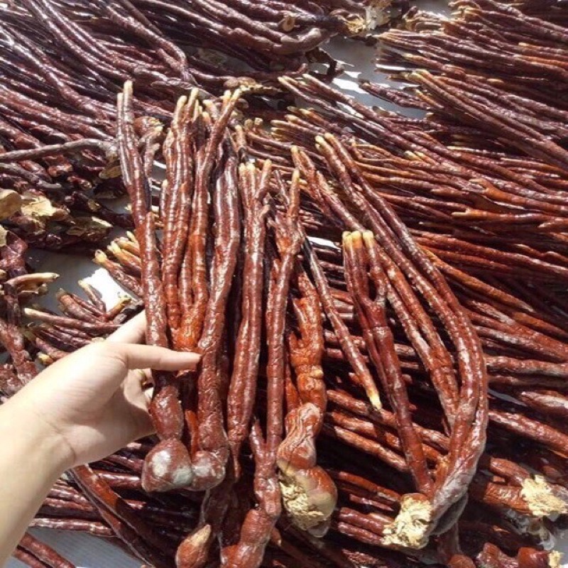 [Freeship] Nấm linh chi Sừng Hươu ( Đặc Sản Vùng Cao )
