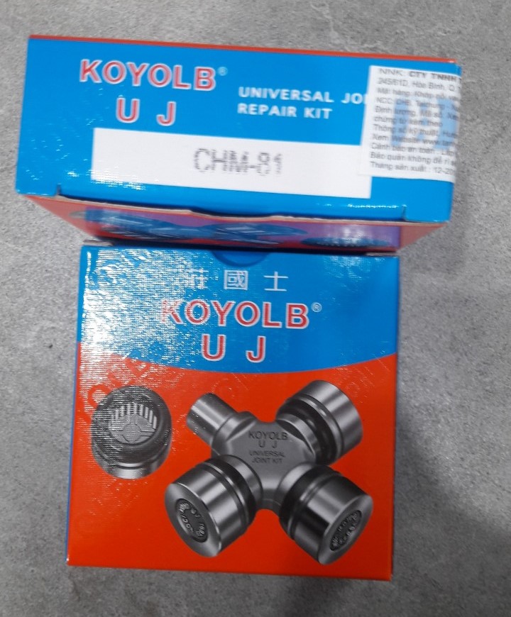 Vòng bi chữ thập KOYOLB
