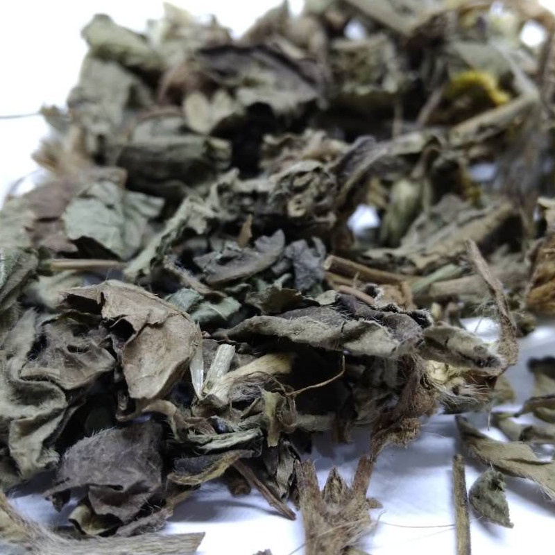Cây chỉ thiên khô 1kg