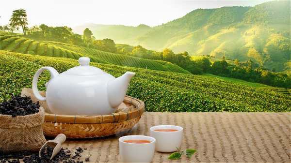 [HCM]TRÀ Ô LONG (OOLONG) 9 TEA SET TÂM CHÂU