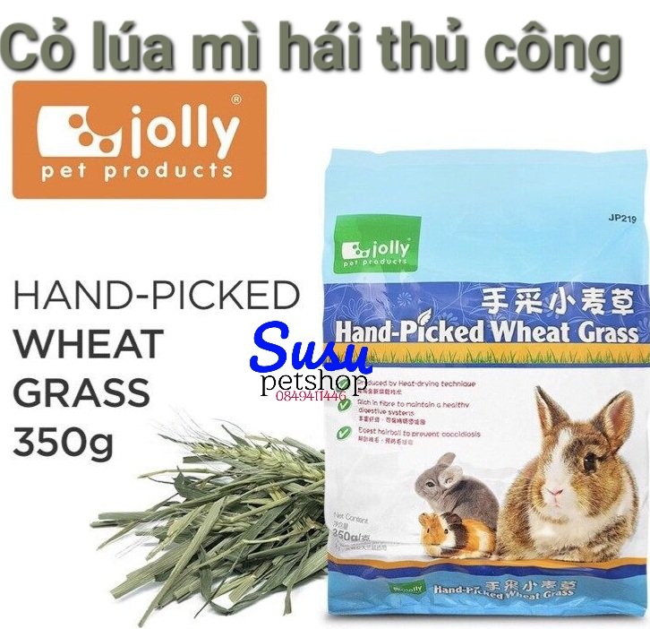 Cỏ Lúa Mì Hái Thủ Công 350g -hàng Jolly-  JP219