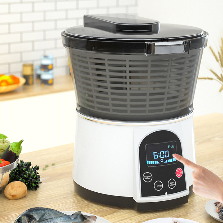 Máy rửa và khử khuẩn thực phẩm bằng Ozone cao cấp AXM-810