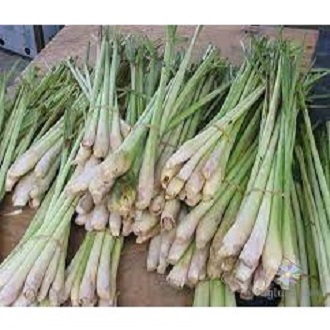 (HN) Sả Sạch Thơm Giao Siêu Tốc 1h