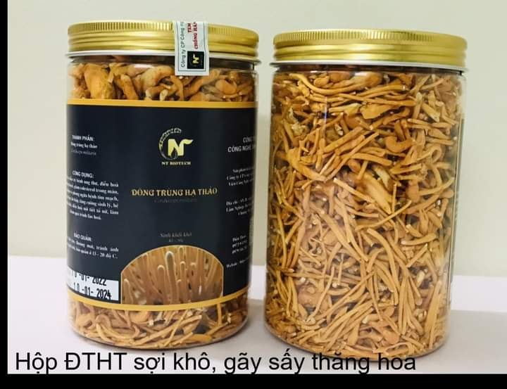 ĐÔNG TRÙNG HẠ THẢO