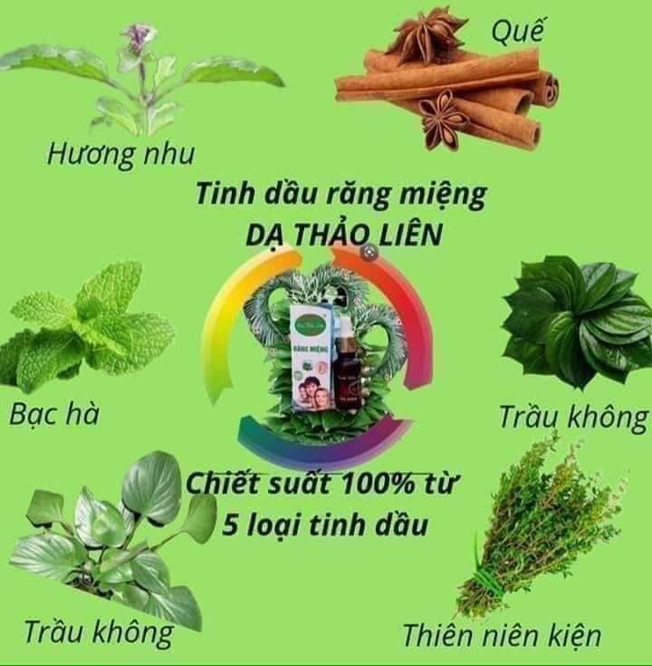 Tinh dầu răng miệng DẠ THẢO LIÊN chai 5ml