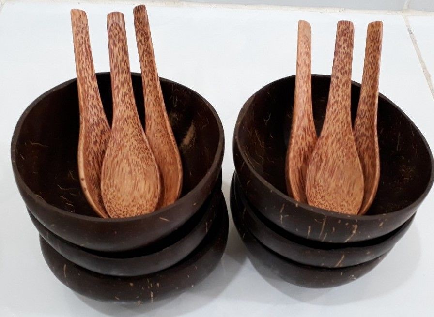 [TẶNG] Combo Chén/ Bát gáo dừa + Muỗng gỗ dừa ăn ngũ cốc