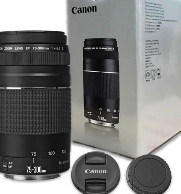 Canon EF 75-300mm f/4-5.6 III Telephoto Zoom Lens for Canon SLR