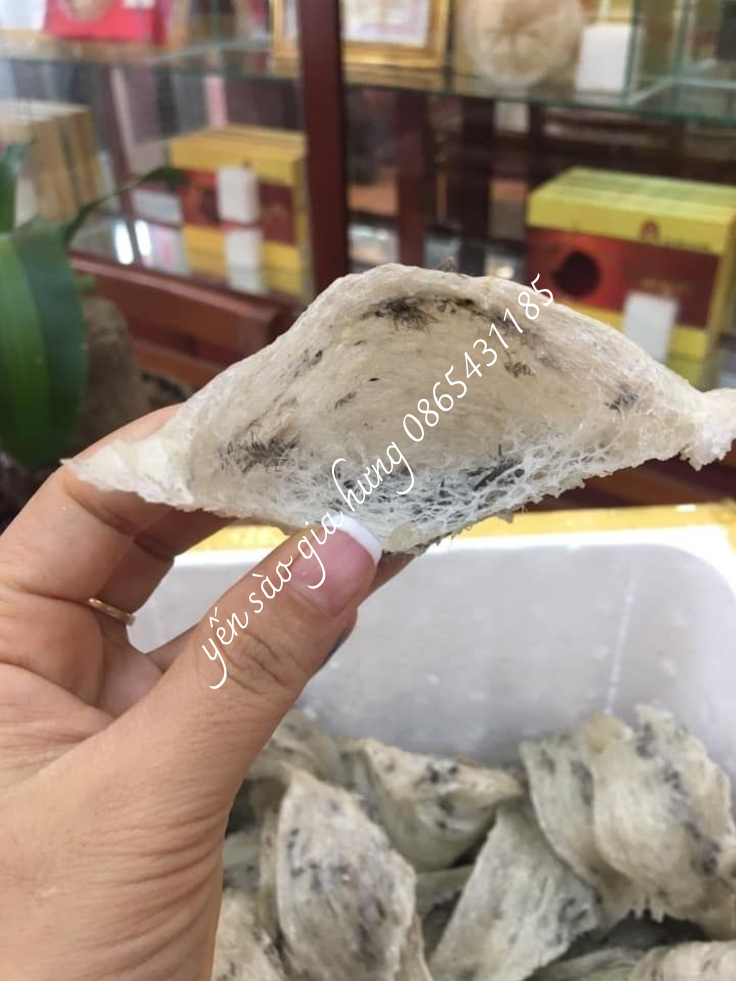 sét một tai yến thô 10gram