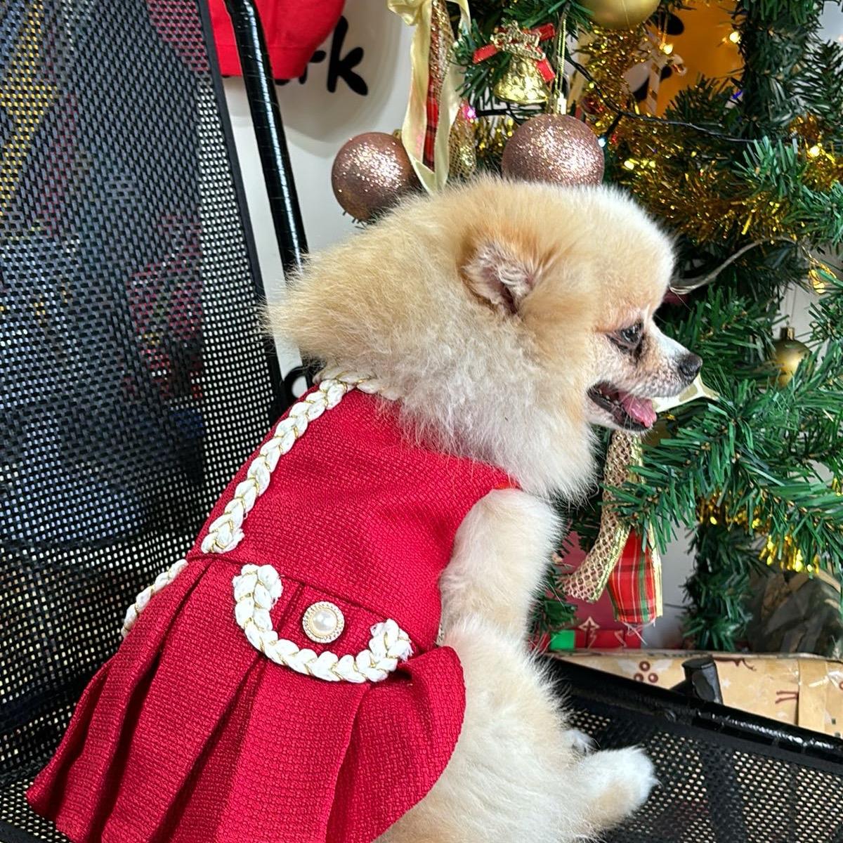 ĐẦM Dạ Tết cho chó mèo - Punpun Petshop