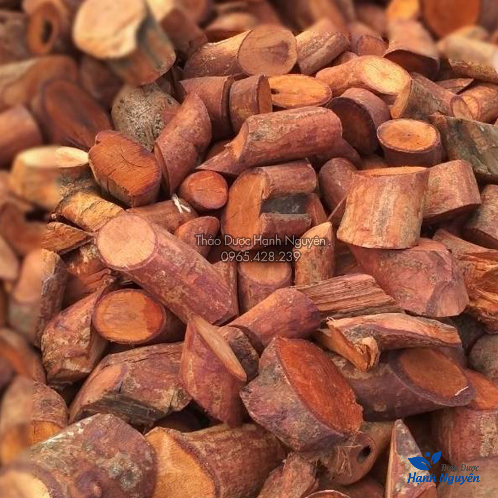Mú từn 500g (Hàng loại 1, khô, sạch)  - Thảo Dược Hạnh Nguyên