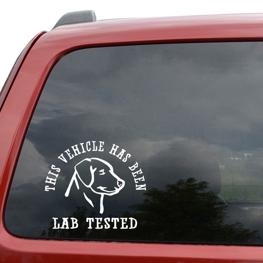 【Exclusive Offer】This Vehicle Has Been Lab Tested Labrador Dog Vinyl ...