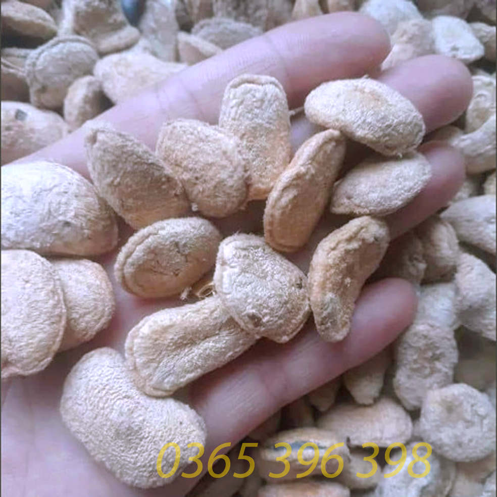 Hạt Sang (Hạt Sành) trắng, chữa đau dạ dày 1gói 10 hạt