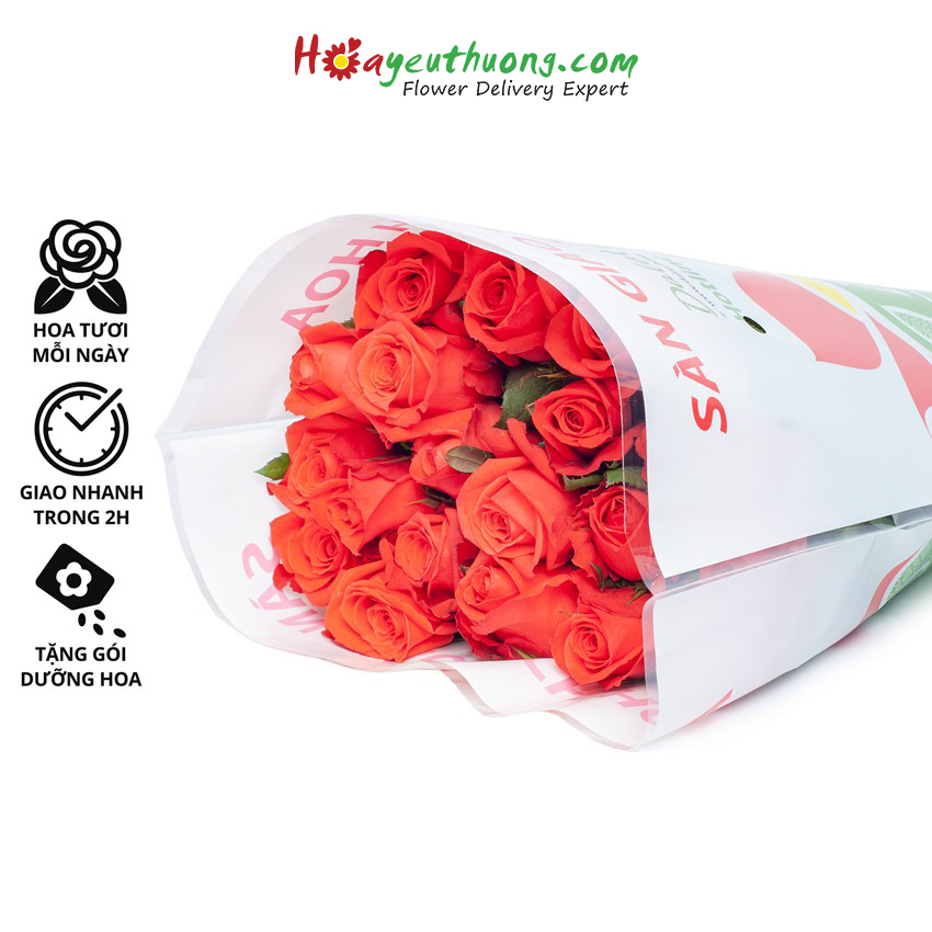 Hoa Hồng Đỏ Ớt Hoayeuthuong - hoa tươi Đà Lạt trang trí nhà cửa, văn phòng