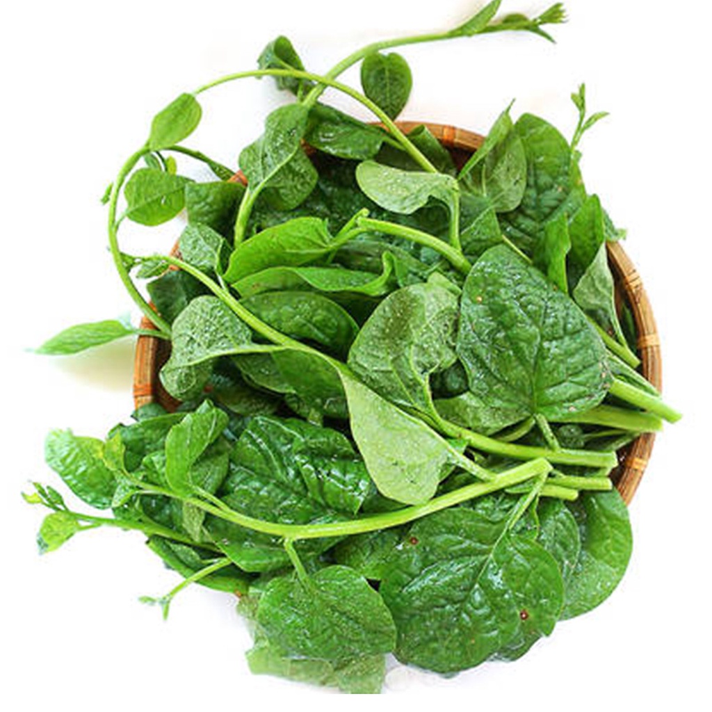 Hạt Giống Mồng Tơi Rado 38 20gr