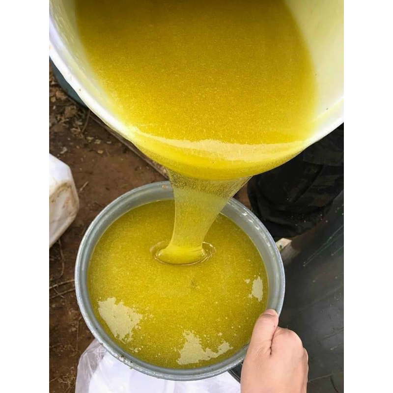 MẬT ONG BẠC HÀ  NGUYÊN CHẤT HÀ GIANG ( Thơm Chuẩ Đặc Nhiều Ga )