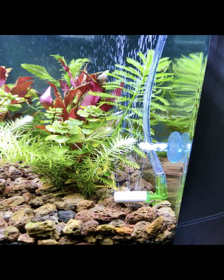 Sủi Co2 Chữ L Siêu Mịn Up Aqua D531 Cho Hồ Thủy Sinh