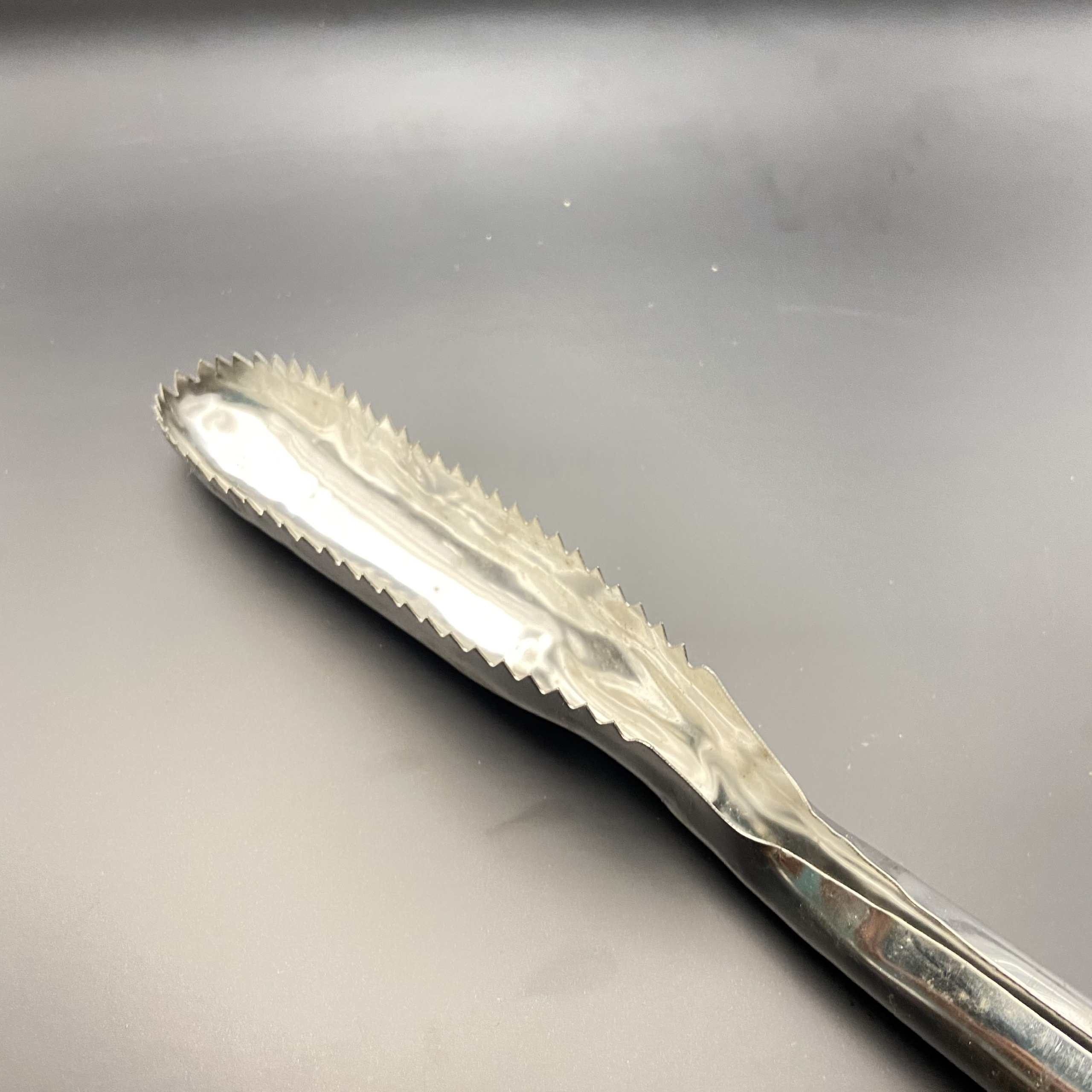 Đánh vẩy cá Inox