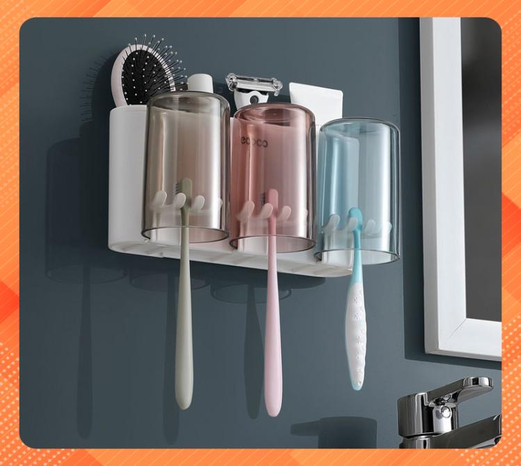 Giá để bàn chải, kem đánh răng 2,3,4 cốc Ecoco