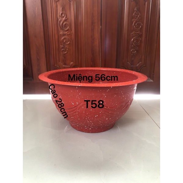 Chậu nhựa truyền thống t58 trồng cây màu đỏ gạch