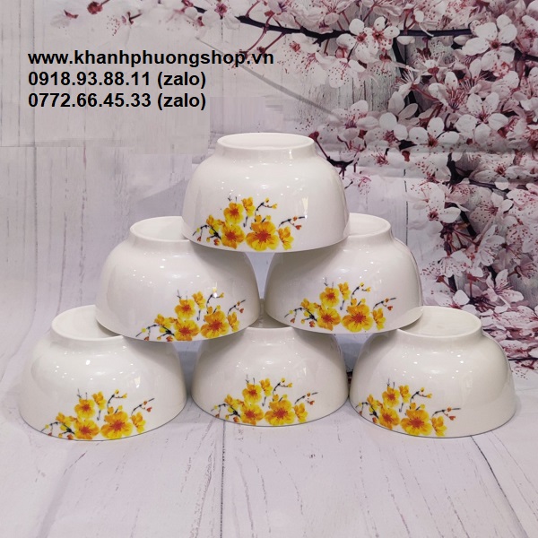 [HCM]bộ chén sứ ăn cơm - chén sứ ăn cơm