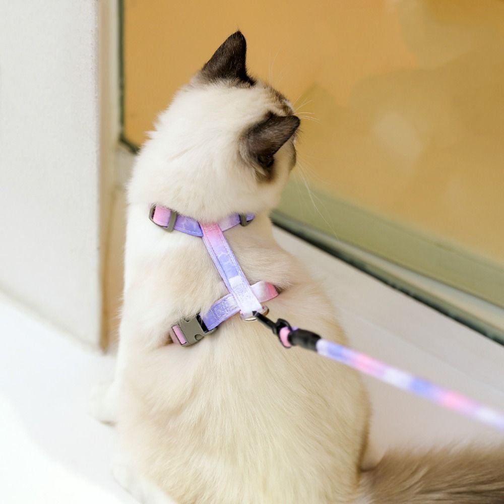 Pet%20Supplies%20Adjustable%20Cat%20Harness%20and%20Leash%20Set%20Gradient%20Escape%20Proof%20Pet%20Harness%20Soft%20Lightweight%20Cat%20Collar%20Lead%20Leash%20Outdoor%20-%20Image%205