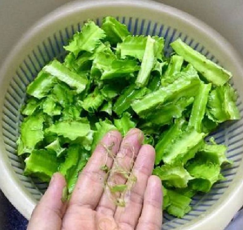 Hạt Giống Đậu rồng Wing bean 666F1 ( 20gr - 60 hạt )