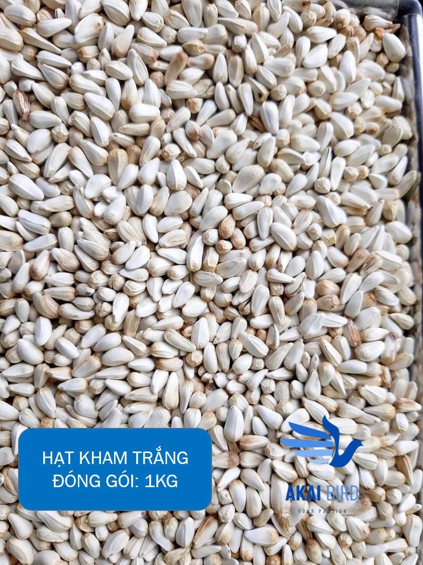 [1KG] Hạt Kham Trắng Cho Vẹt, Hamster, Sóc, Chim Cảnh....