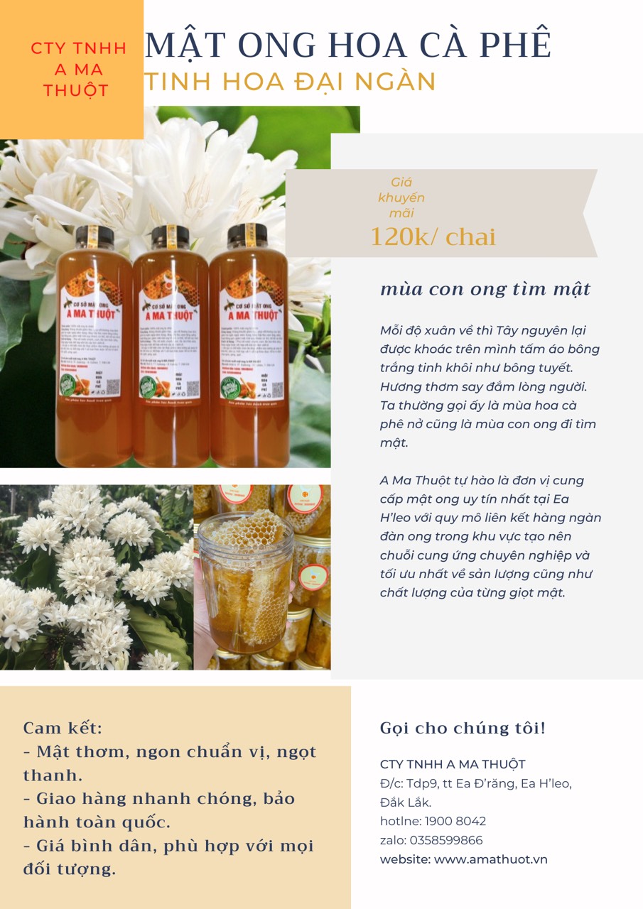 MẬT ONG HOA CÀ PHÊ THƯỢNG HẠNG A MA THUỘT