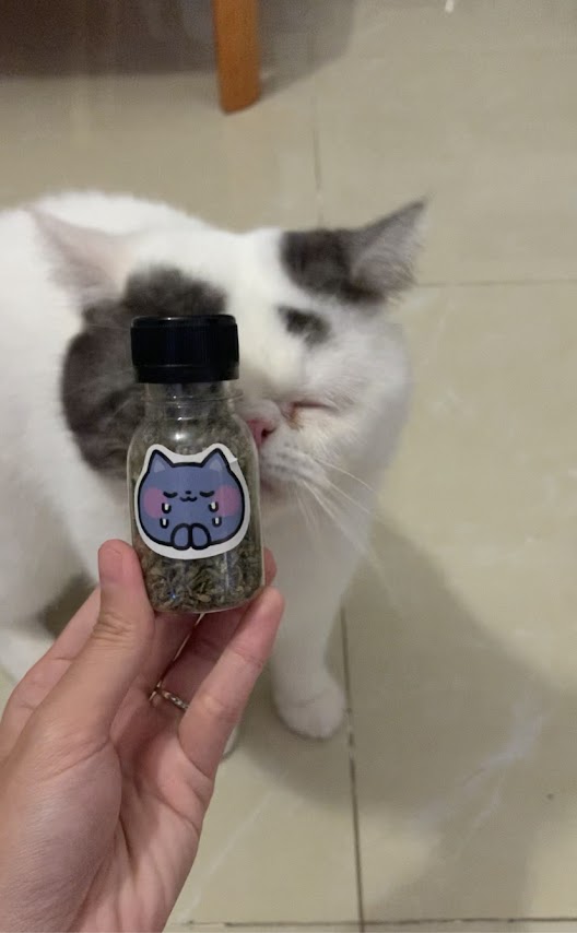 Catnip cho mèo hãng Kong