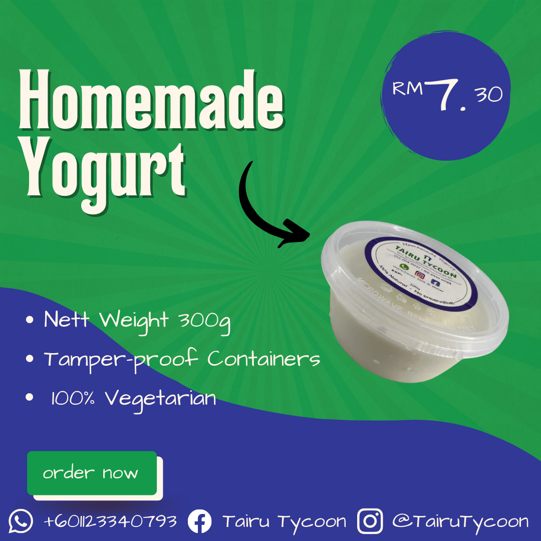 Plain Homemade Yogurt Probiotic Boost by TAIRU TYCOON Lazada