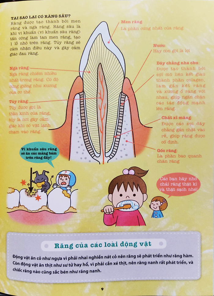Sách thiếu nhi - Khám phá bí ẩn cơ thể người