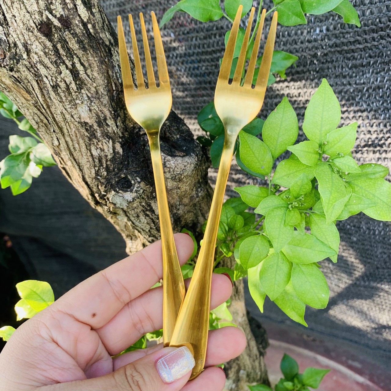SET 2 CÁI NĨA INOX MẠ VÀNG