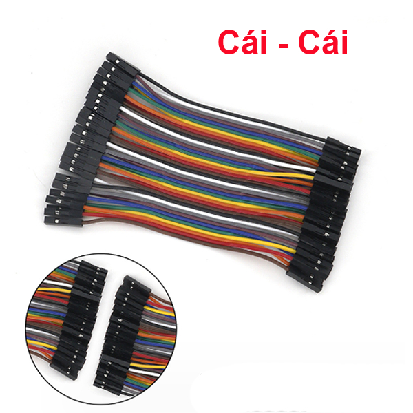 Dây Cắm ( Bus) Test Board ( 40 sợi 1 bus)