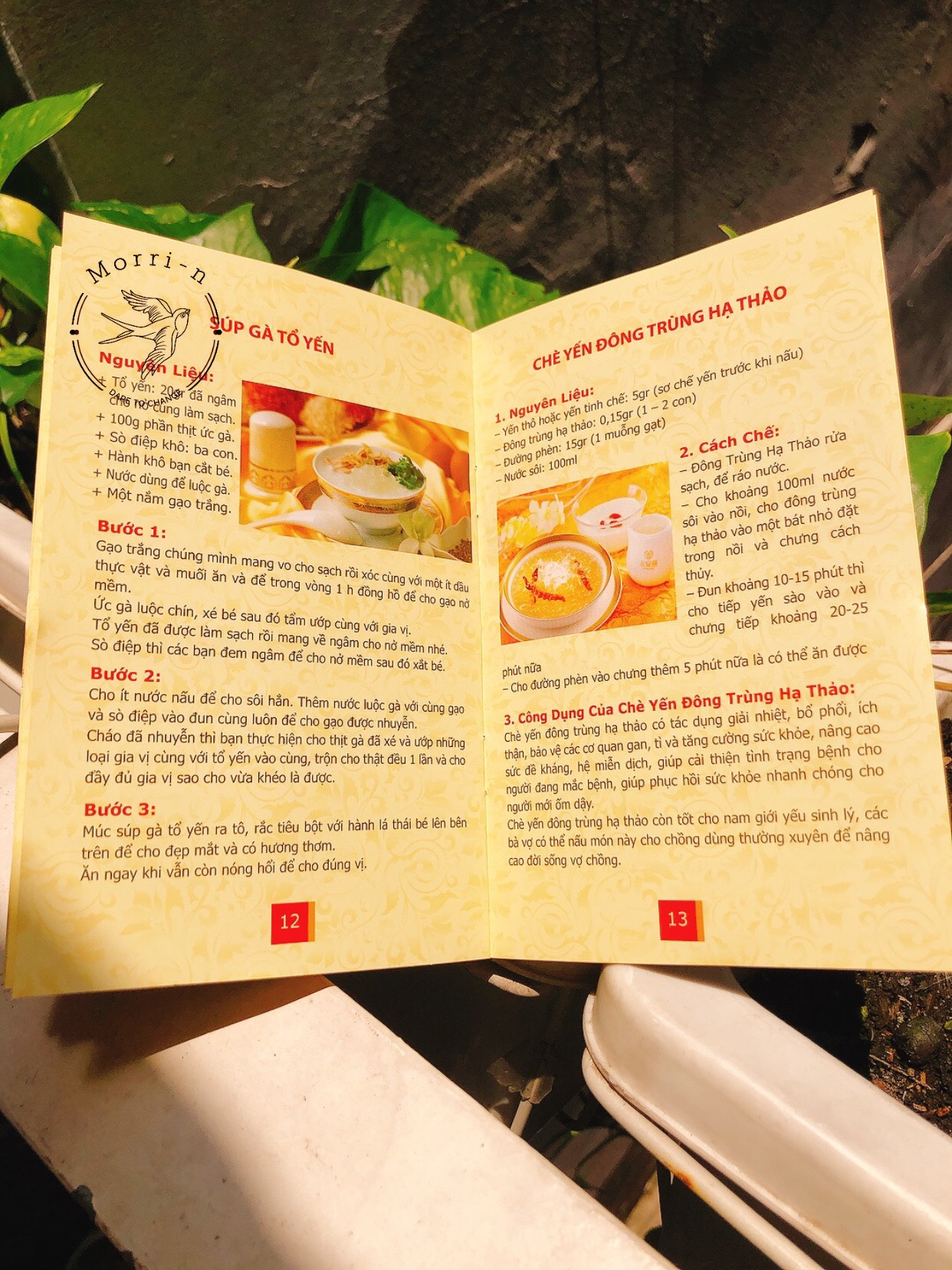 CUỐN CẨM NANG YẾN SÀO CAO CẤP BẢN ĐẸP
