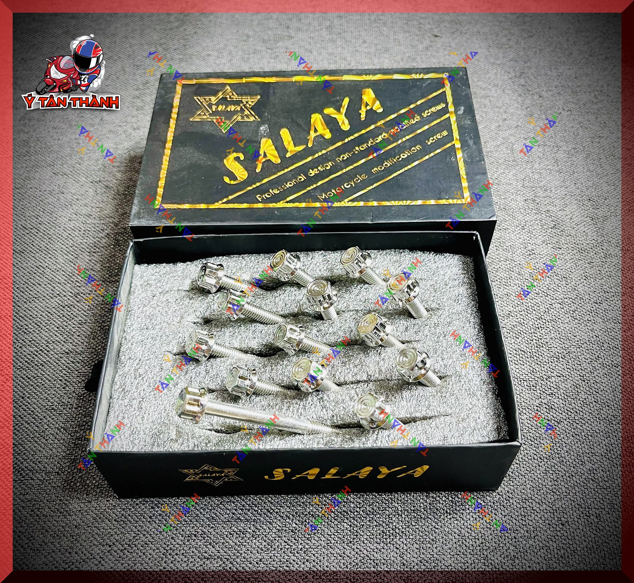 Bộ Ốc Lốc Máy Salaya V2 cho vision 2016-2019 MS82